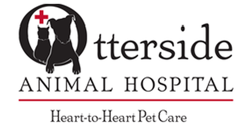 Animal Hospital in Brandon VT | Otterside Animal Hospital